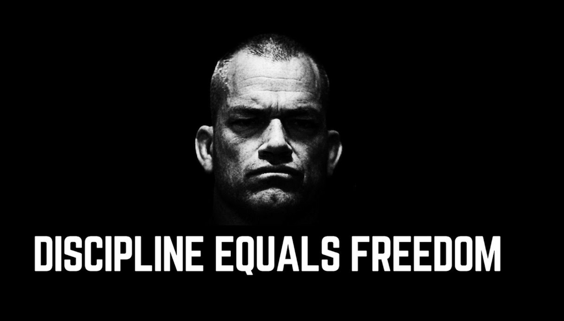 Discipline equals freedom field manual